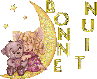 bonne soiree et bonne nuit!