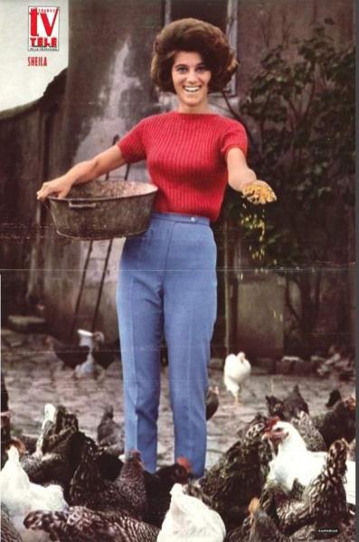 sheila!