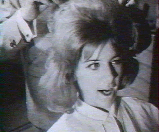 bonjour! bon samedi! bonne journee!